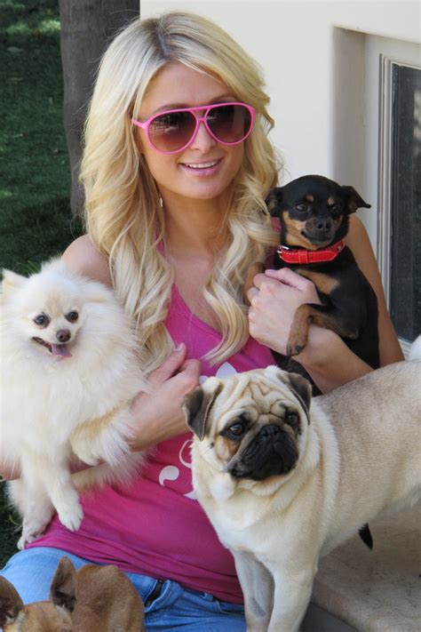 paris hilton dogs list.